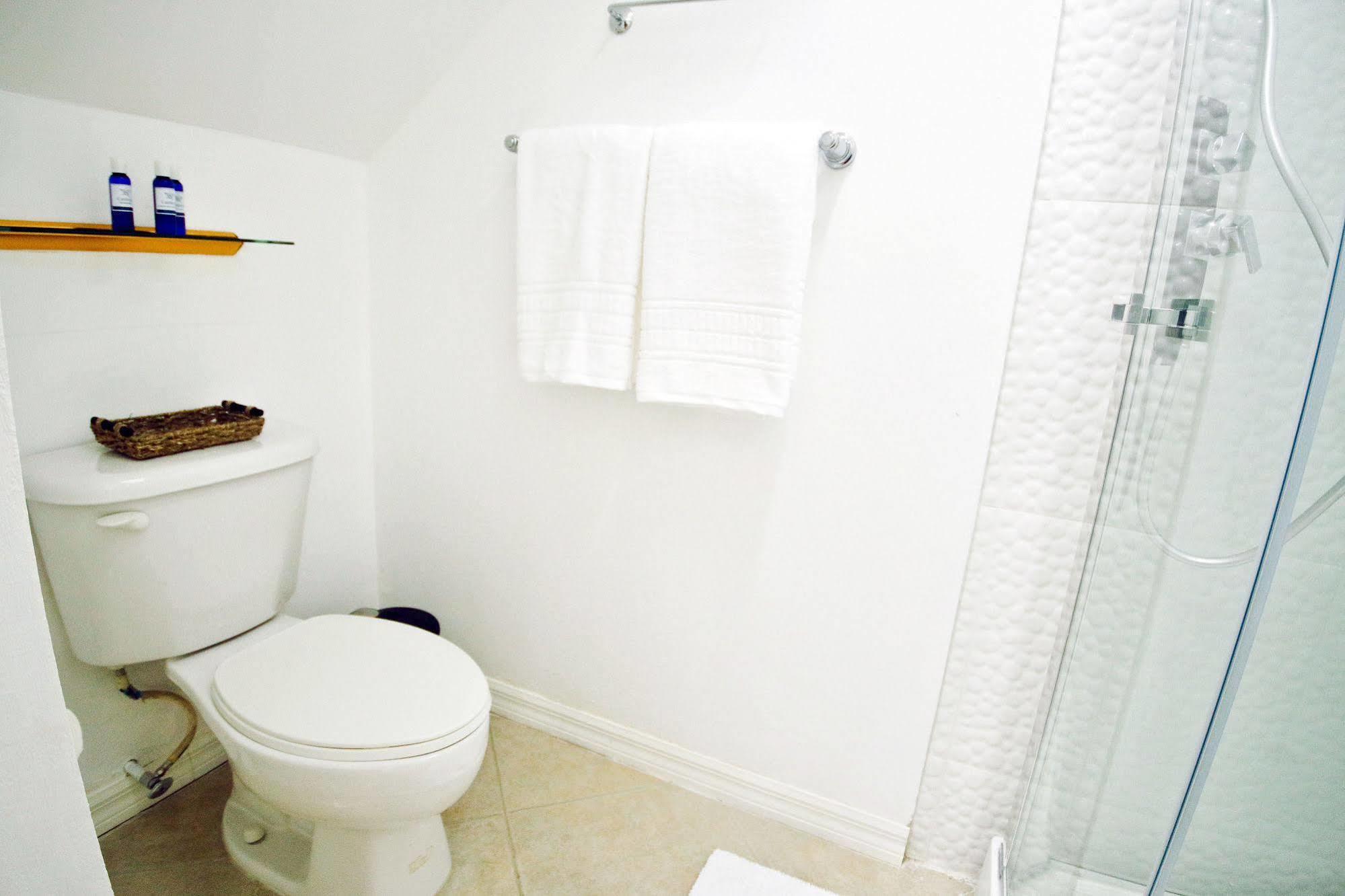 Cattleya Luxury Suites 킹스톤 외부 사진